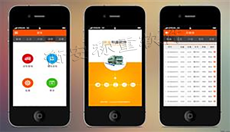 衡安無人值守稱重系統