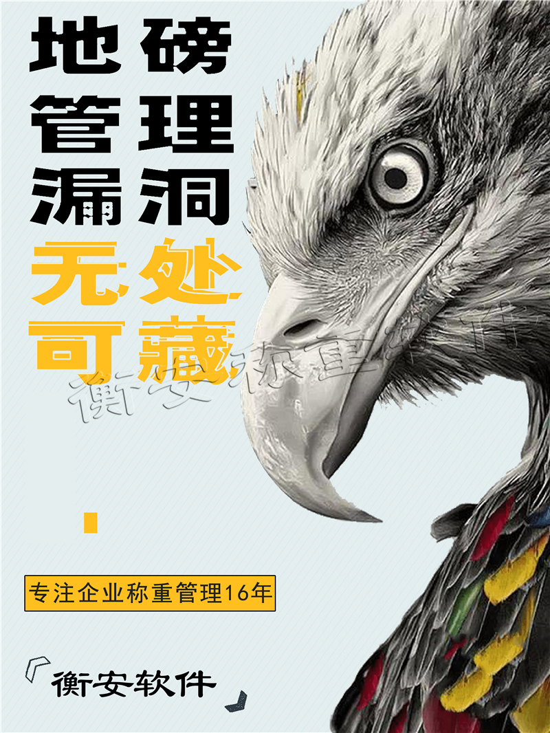 衡安無人值守稱重系統(tǒng)，行業(yè)專用堵漏洞