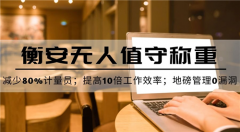 衡安稱重軟件接受功能軟件定制與客戶一起開發