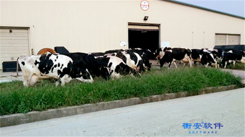 衡安無人值守稱重系統方案 衡安無人值守稱重系統方案