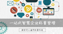 衡安過磅系統具體都有什么分類？