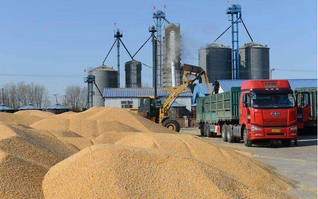 衡安無人值守稱重軟件