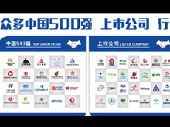 衡安軟件在各地有分公司嗎？