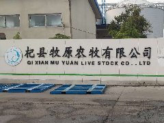 畜牧行業(yè)稱重解決方案