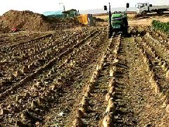 甜菜收購的老總一定要了解的衡安甜菜收購系統(tǒng)！